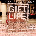 H09-endGiftforLife3_R1-150x150.jpg